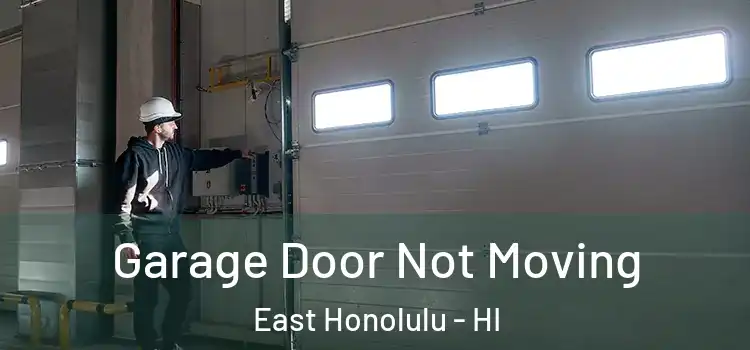  Garage Door Not Moving East Honolulu - HI