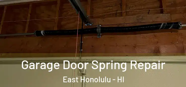  Garage Door Spring Repair East Honolulu - HI