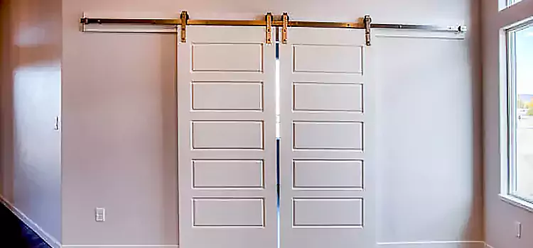 Glass Barn Door with Installation Hardware Kit East Honolulu