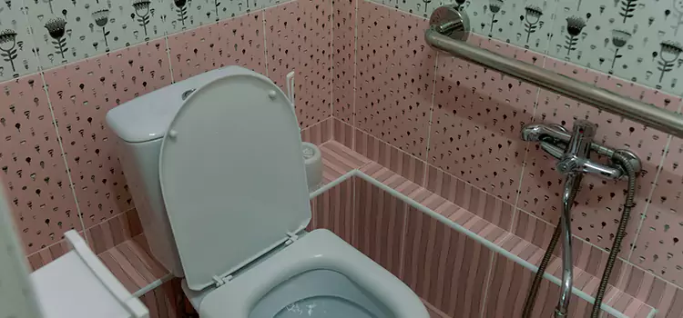 Meeting Diverse Needs With Accessible Restroom Solutions in East Honolulu, HI