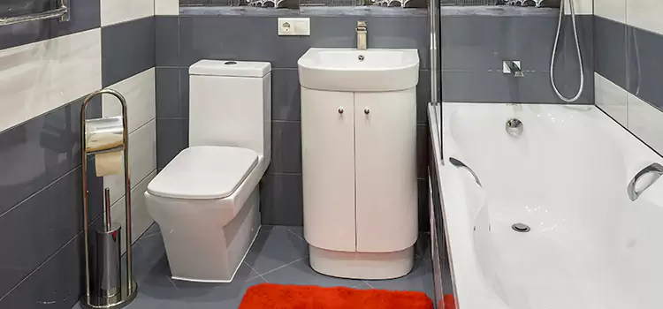 Hansgrohe Shaving Mirror East Honolulu